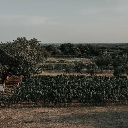 דירה Stuble Preshaz Somogyharsagy